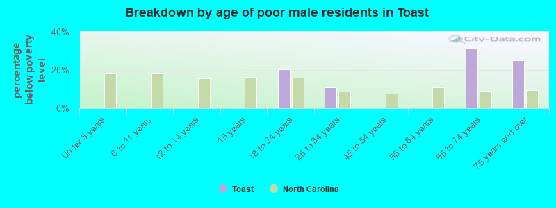 Breakdown by age of poor male residents in Toast