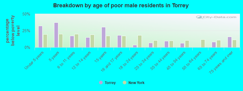 Breakdown by age of poor male residents in Torrey