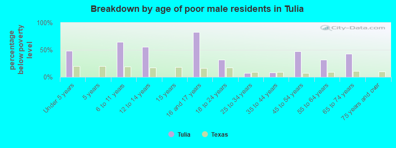 Breakdown by age of poor male residents in Tulia