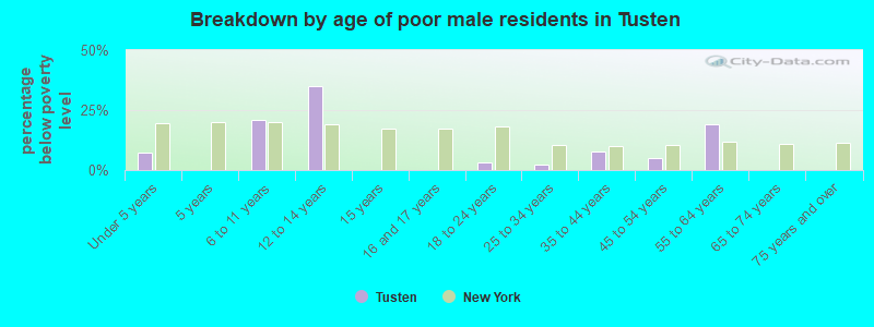 Breakdown by age of poor male residents in Tusten