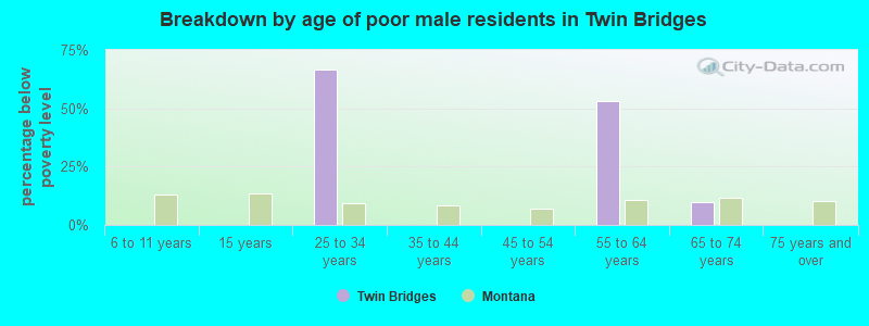 Breakdown by age of poor male residents in Twin Bridges