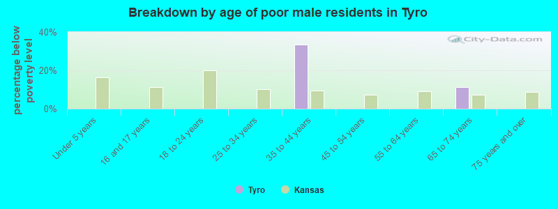 Breakdown by age of poor male residents in Tyro
