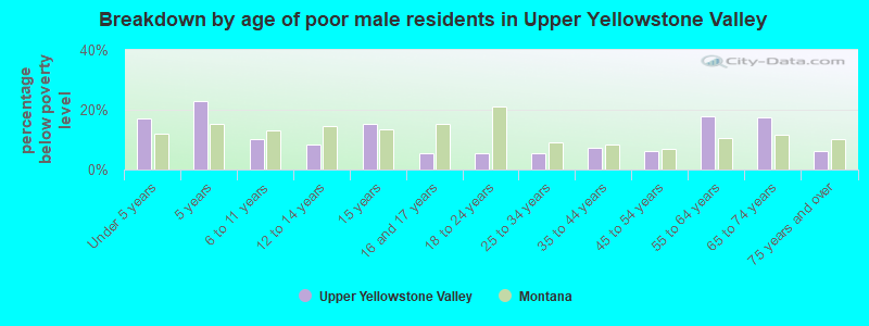 Breakdown by age of poor male residents in Upper Yellowstone Valley