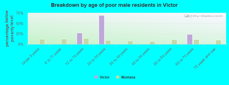 Breakdown by age of poor male residents in Victor