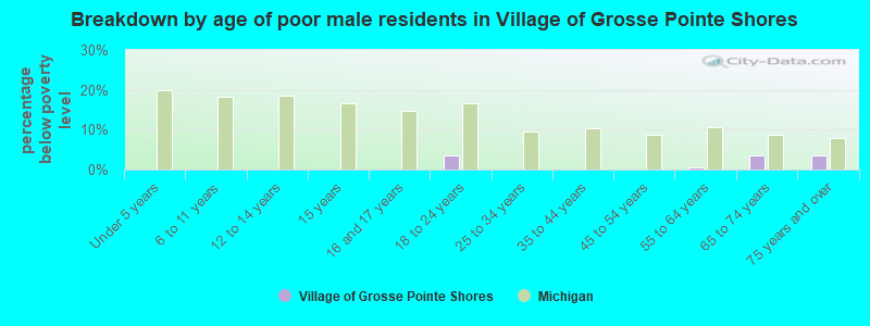 Breakdown by age of poor male residents in Village of Grosse Pointe Shores
