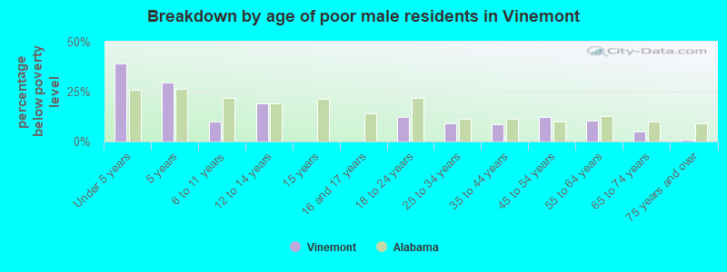 Breakdown by age of poor male residents in Vinemont