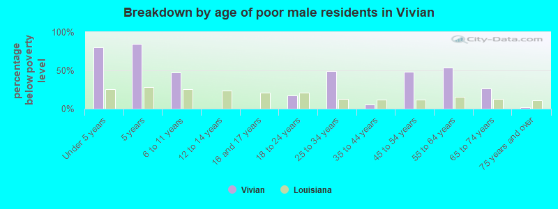 Breakdown by age of poor male residents in Vivian