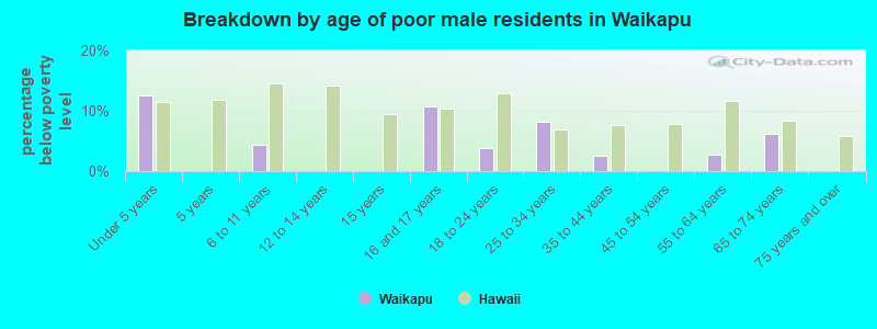 Breakdown by age of poor male residents in Waikapu