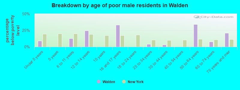 Breakdown by age of poor male residents in Walden