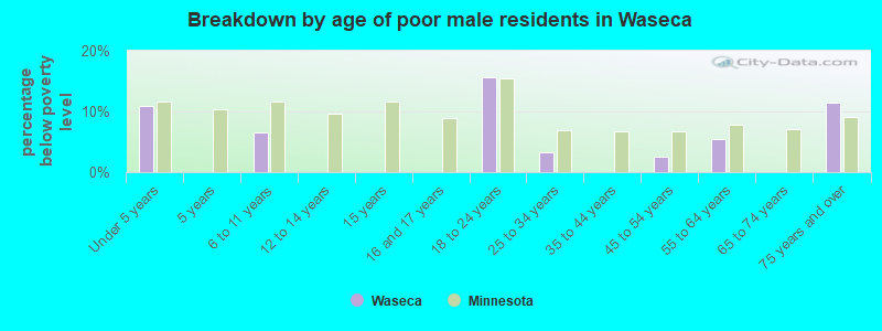 Breakdown by age of poor male residents in Waseca
