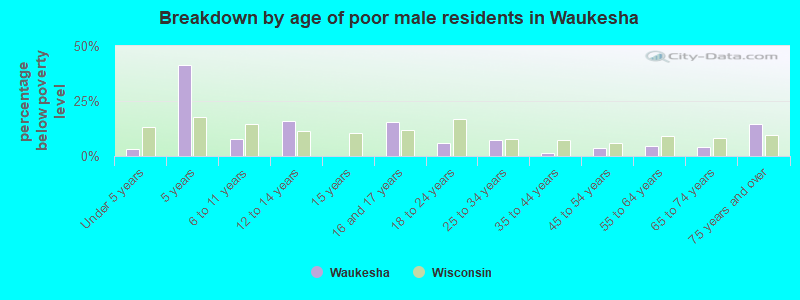 Breakdown by age of poor male residents in Waukesha