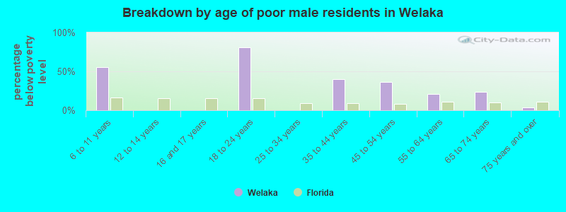 Breakdown by age of poor male residents in Welaka