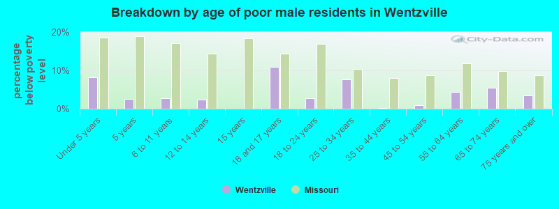 Breakdown by age of poor male residents in Wentzville