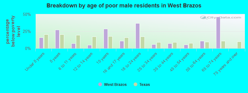 Breakdown by age of poor male residents in West Brazos