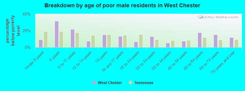 Breakdown by age of poor male residents in West Chester
