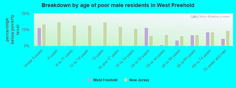 Breakdown by age of poor male residents in West Freehold