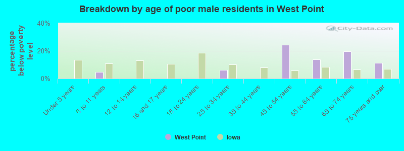Breakdown by age of poor male residents in West Point