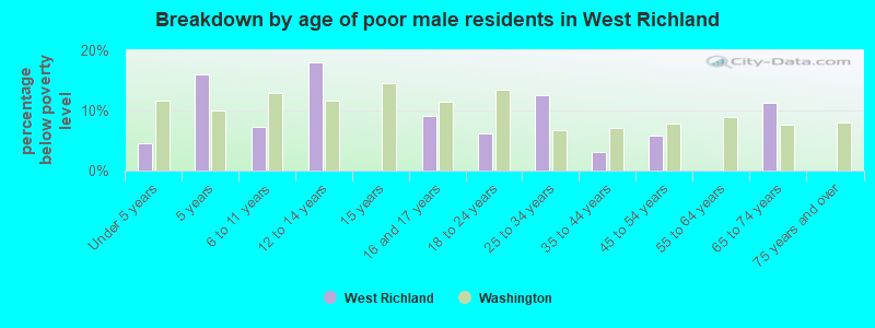 Breakdown by age of poor male residents in West Richland