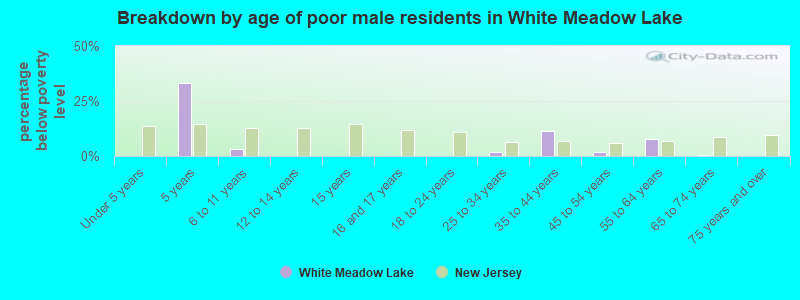 Breakdown by age of poor male residents in White Meadow Lake