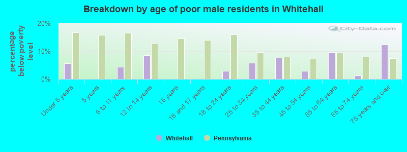Breakdown by age of poor male residents in Whitehall