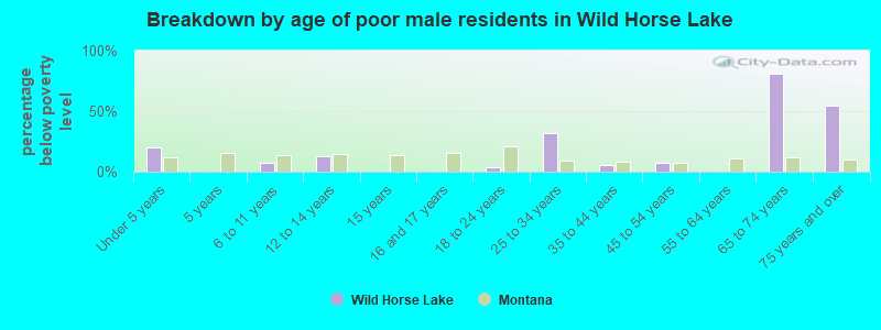 Breakdown by age of poor male residents in Wild Horse Lake