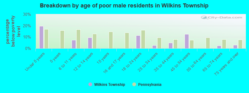 Breakdown by age of poor male residents in Wilkins Township