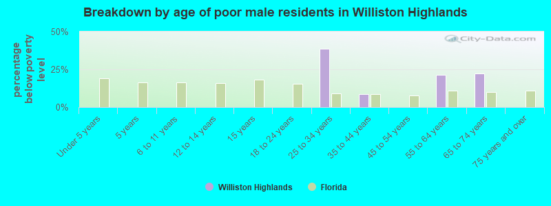 Breakdown by age of poor male residents in Williston Highlands