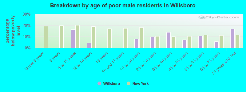 Breakdown by age of poor male residents in Willsboro