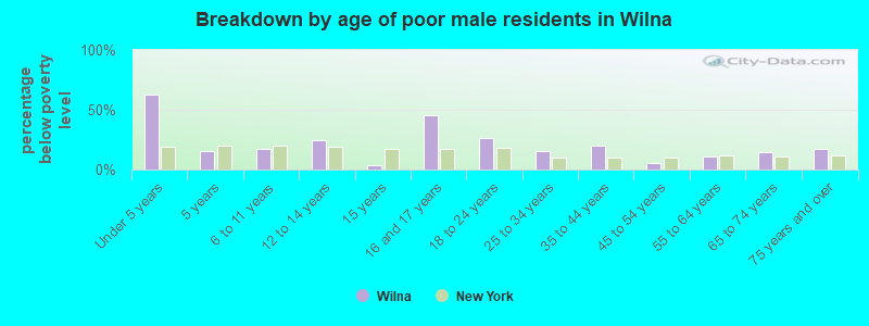 Breakdown by age of poor male residents in Wilna