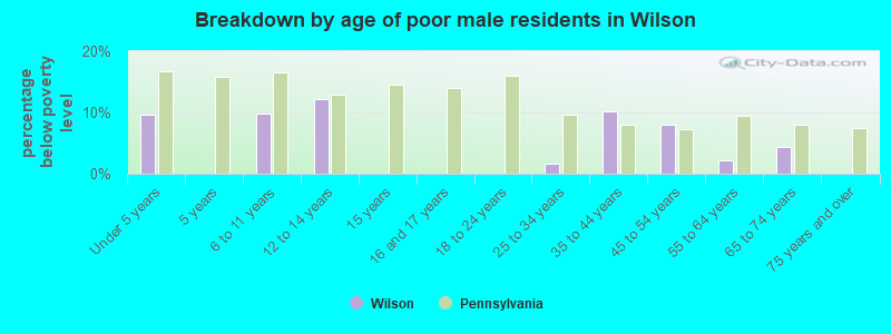 Breakdown by age of poor male residents in Wilson