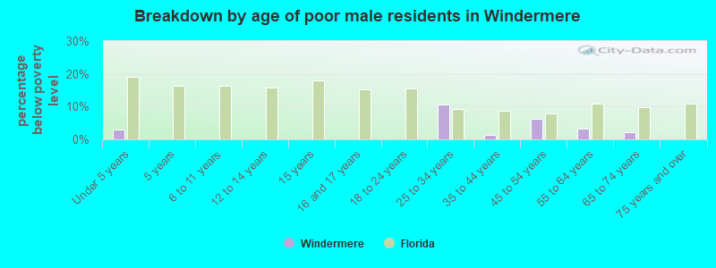 Breakdown by age of poor male residents in Windermere