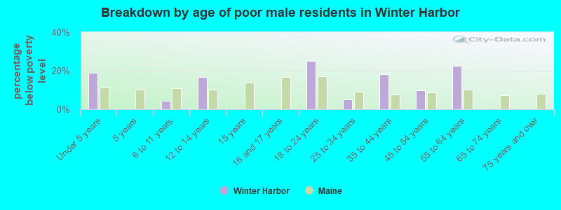 Breakdown by age of poor male residents in Winter Harbor