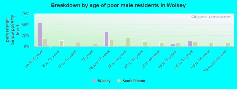 Breakdown by age of poor male residents in Wolsey