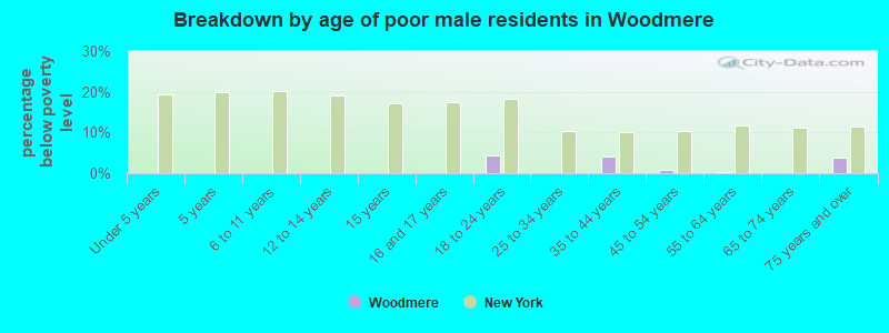 Breakdown by age of poor male residents in Woodmere