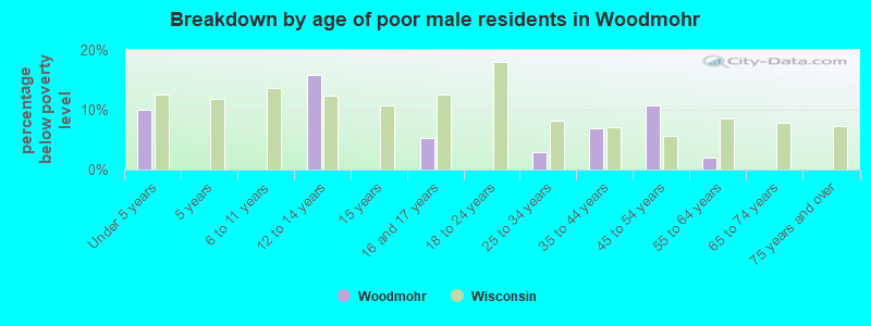 Breakdown by age of poor male residents in Woodmohr
