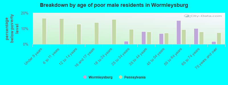 Breakdown by age of poor male residents in Wormleysburg