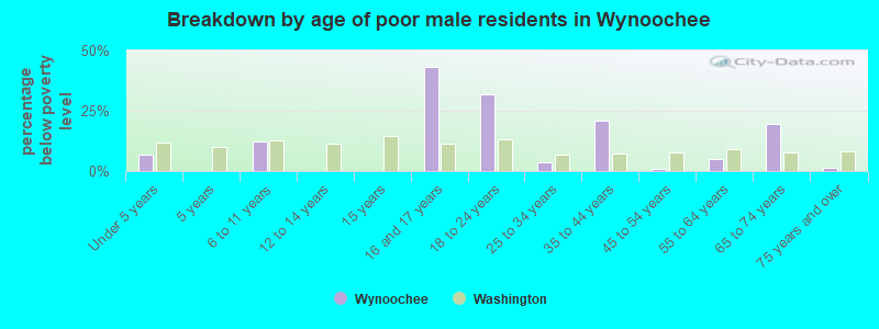 Breakdown by age of poor male residents in Wynoochee