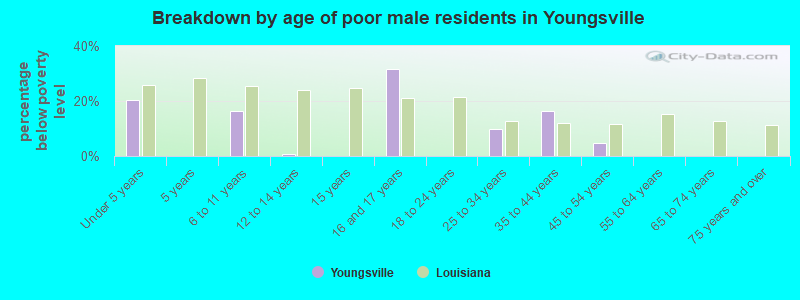 Breakdown by age of poor male residents in Youngsville