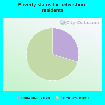 Poverty status for native-born residents