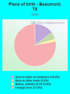 Races in Beaumont Texas TX White Black Hispanic Asian