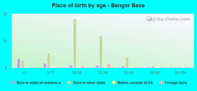 Place of birth by age -  Bangor Base