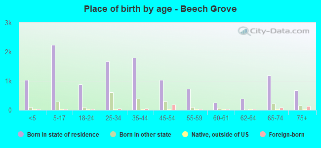 Place of birth by age -  Beech Grove