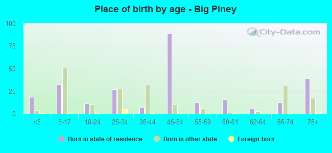 Place of birth by age -  Big Piney