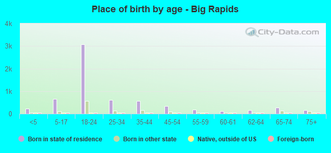 Place of birth by age -  Big Rapids