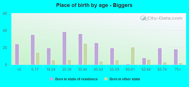 Place of birth by age -  Biggers