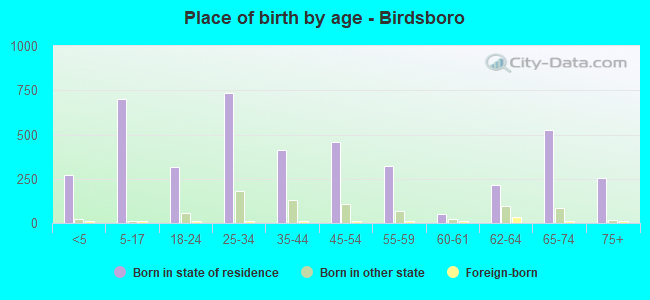 Place of birth by age -  Birdsboro