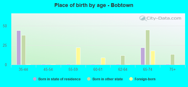 Place of birth by age -  Bobtown