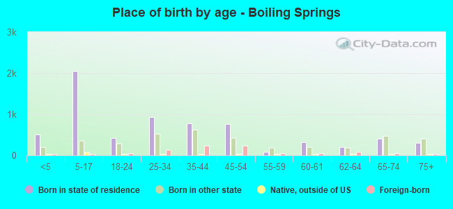 Place of birth by age -  Boiling Springs
