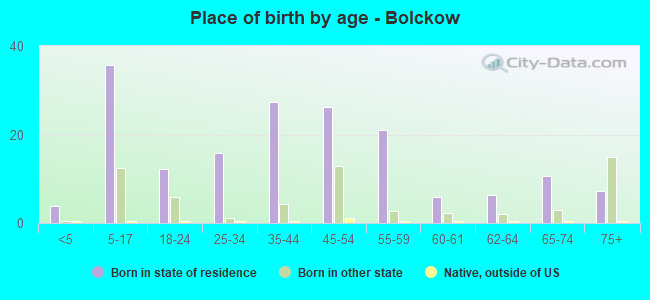 Place of birth by age -  Bolckow