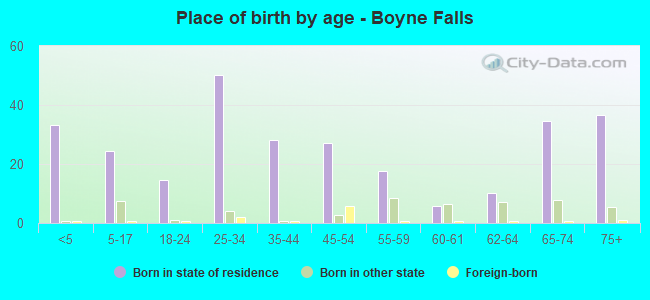 Place of birth by age -  Boyne Falls